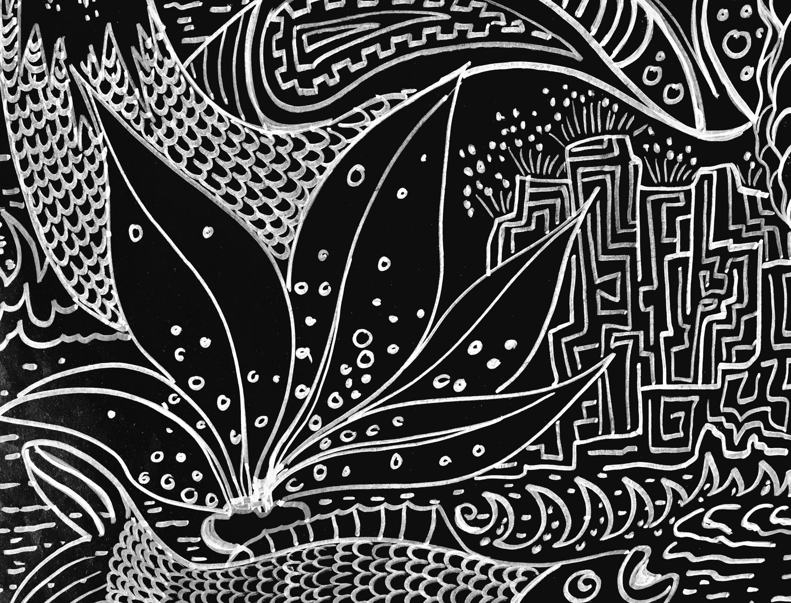 White on Black or when doodles become visual worlds