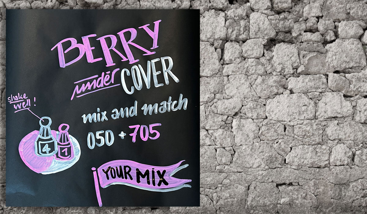 Neuland UnderCover - Kapitel 2: Blackberry