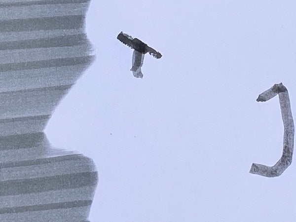 Effekte mit Schablonen