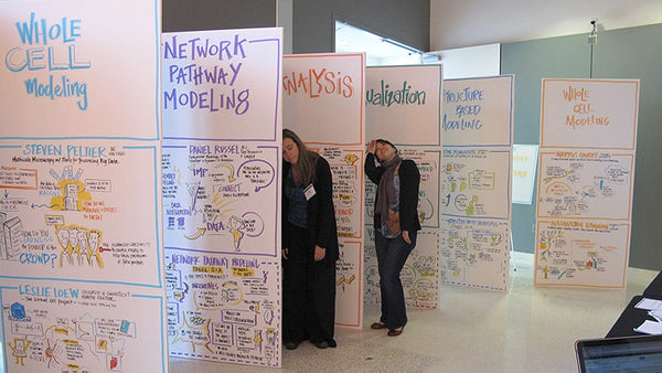 Fotoreportage: "Toward the 3D Virtual Cell"