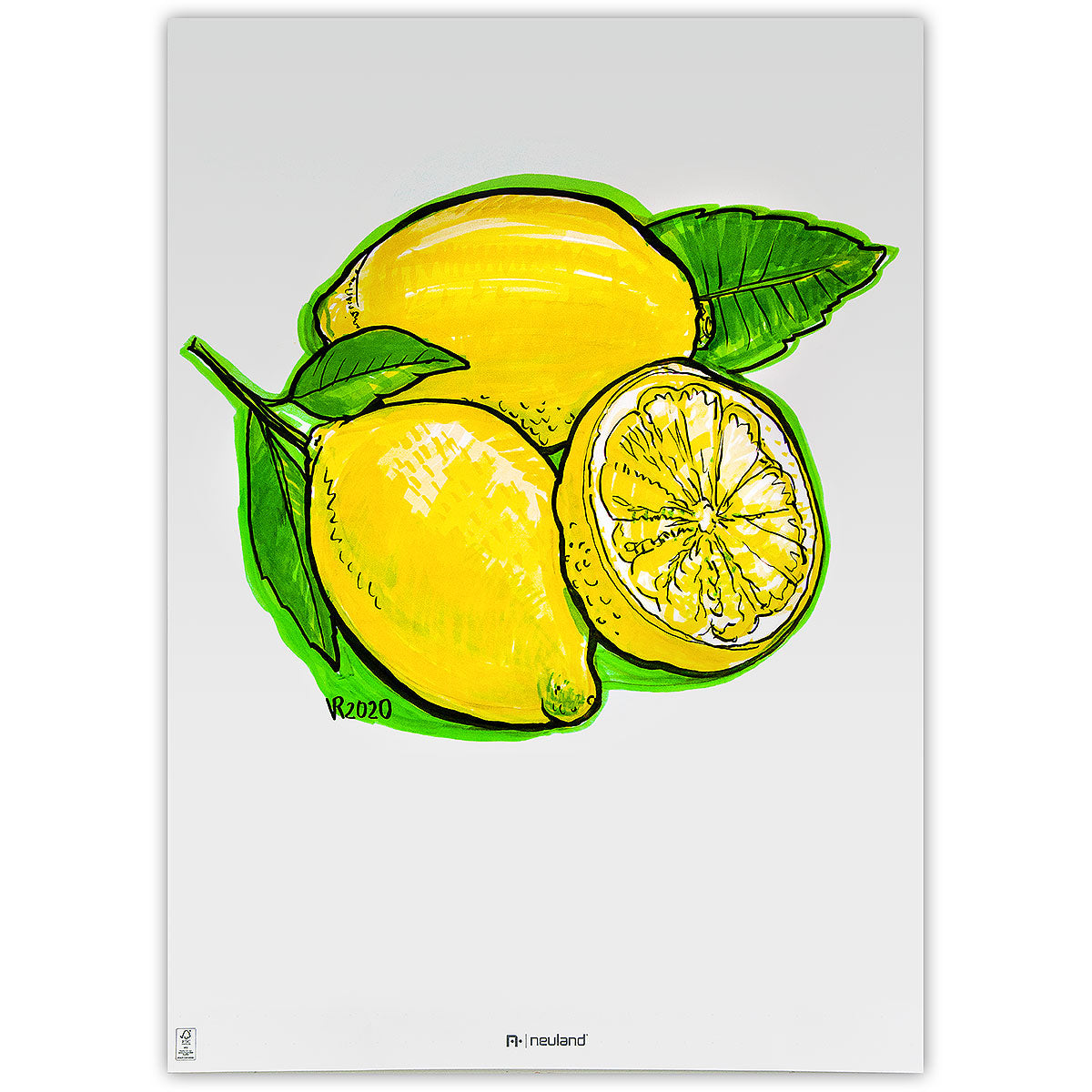 Neuland BigOne®, Keilspitze 6-12 mm, 5er Farbsets- set no. 11 lemon tree