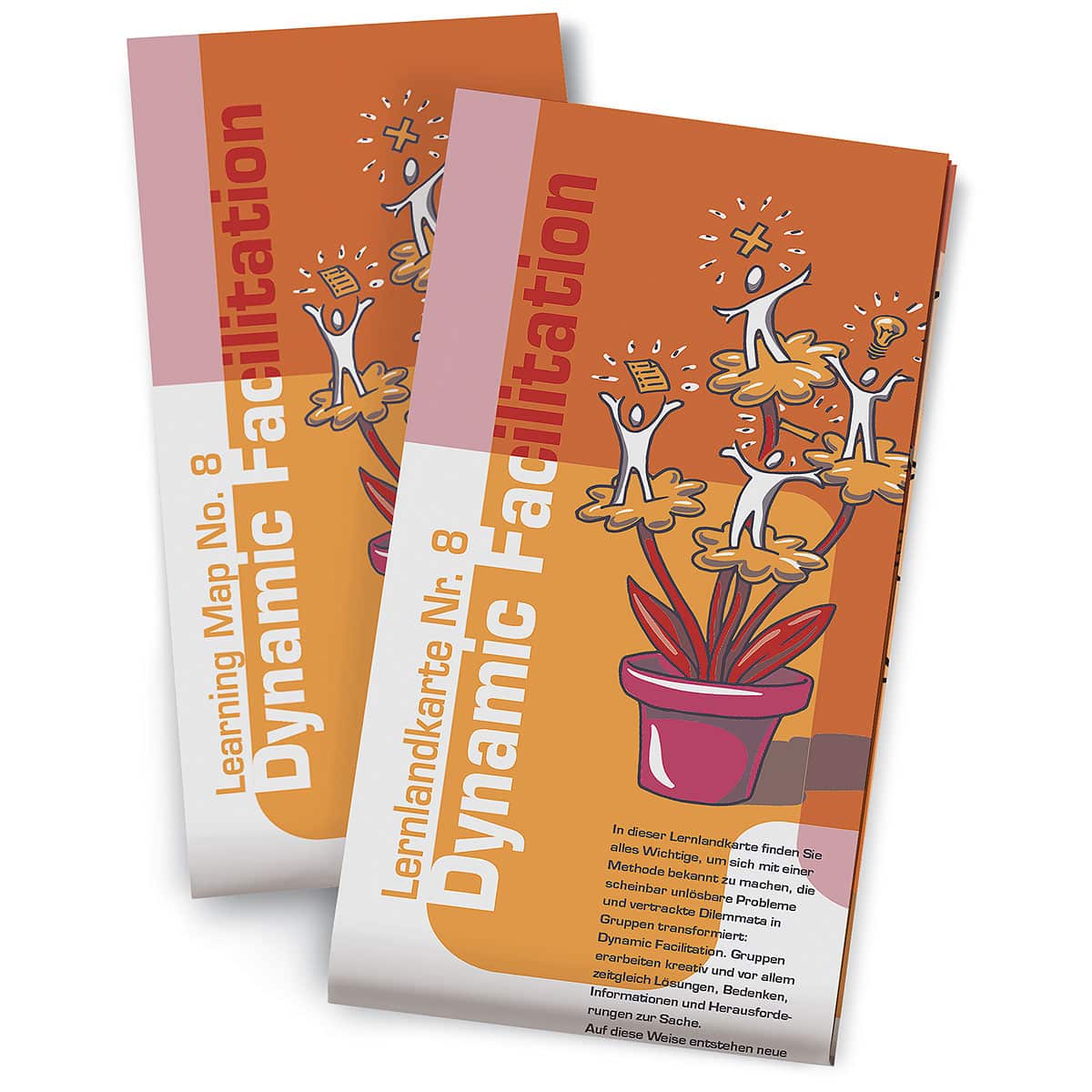 Leerlandkaart No. 8 – Dynamic Facilitation