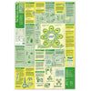 Lernlandkarte Nr. 10 The Scrum Flow