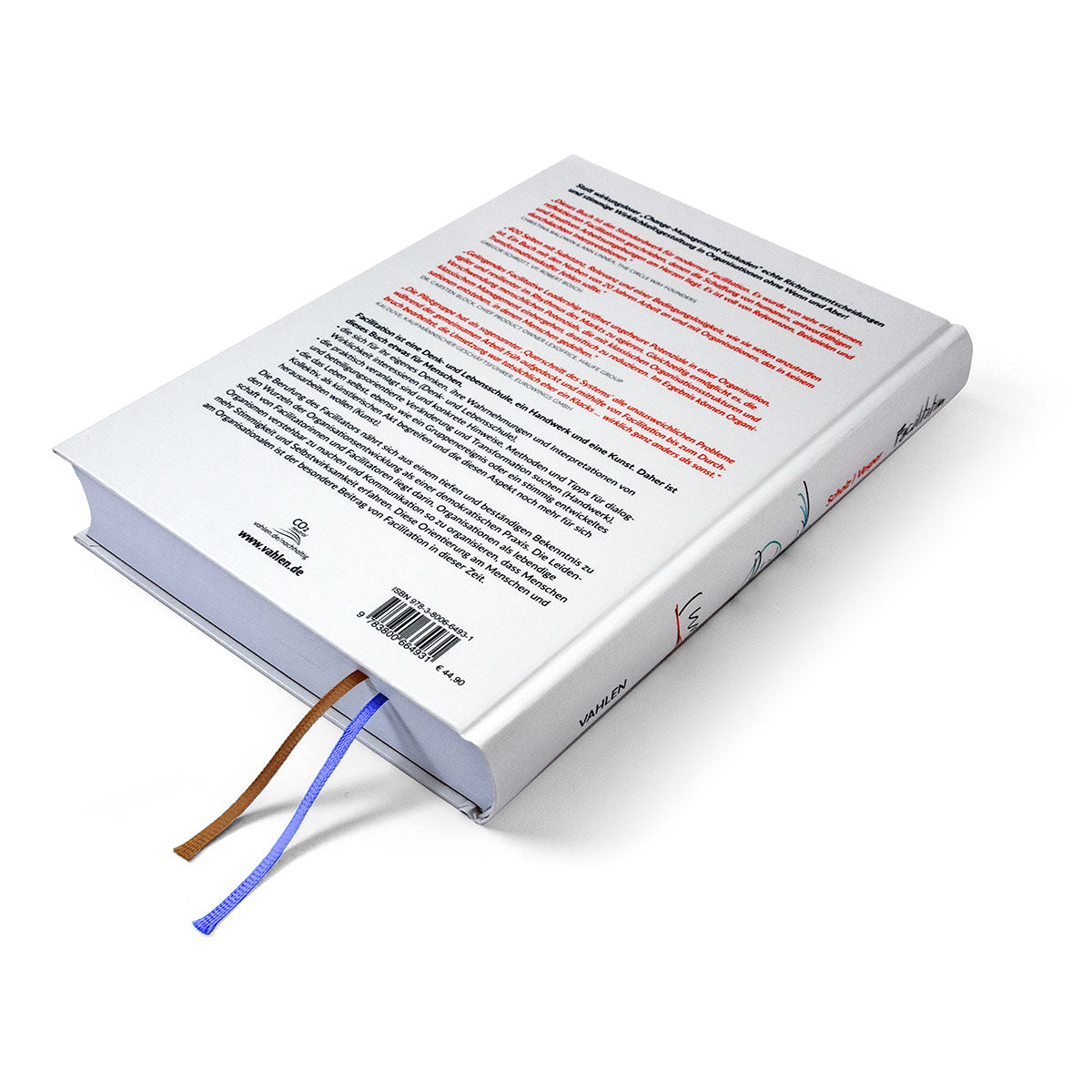 Facilitation: Dialog- und handlungsorientierte Organisationsentwicklung